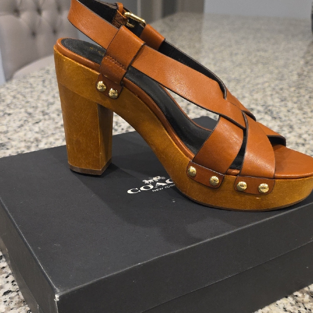 Coach Brown Platform Sandals with Wooden Heel